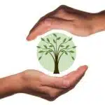 Prestations DJ techniques responsables et RSE